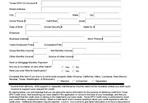 Credit Union Business Plan Template Credit Application Sample