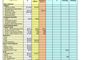 Crop Budget Template Farm Expenses Spreadsheet Charlotte Clergy Coalition