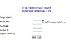 Ctet Admit Card Name Date Birth Cbse Class 10th Results Announced Boy From Dps Gurugram