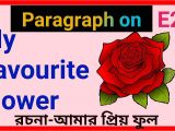 Cue Card About Favourite Flower Red Rose Flower Cue Card