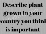 Cue Card On Creative Person Describe Plant Grown In Your Country You Think is Important