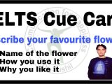 Cue Card On Favourite Flower Red Rose Flower Cue Card