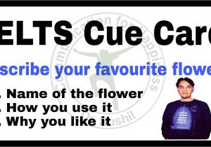 Cue Card On Favourite Flower Red Rose Flower Cue Card