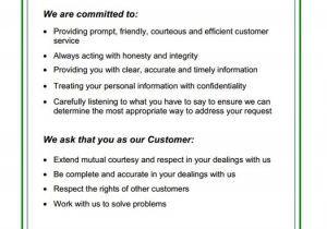 Customer Care Charter Template Charter Customer Service Template Jose Mulinohouse Co