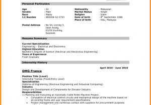 Cv or Resume for Job Application 8 Cv Sample for Job Application 2016 theorynpractice