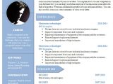 Cv Resume format Word Curriculum Vitae Resume Word Template 904 910 Free Cv