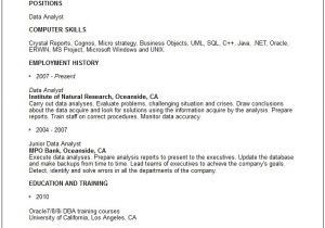 Data Analyst Resume Template Custom Essay Writing Service Data Analyst Summary Resume