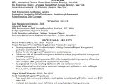 Data Analyst Resume Template Resume Example for A Data Analyst Susan Ireland Resumes