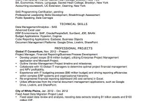 Data Analyst Resume Template Resume Example for A Data Analyst Susan Ireland Resumes