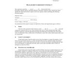 Dcaa Contract Brief Template 20 Contract Templates Free Sample Example format