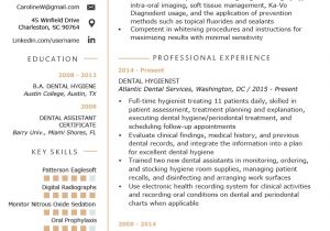 Dental Hygiene Student Resume Dental Hygienist Resume Example Writing Tips Resume Genius