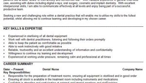 Dental Nurse Cv Template Cv Template Dental Nurse Personal Statement for