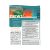 Department Newsletter Templates 8 Sample Office Newsletters Sample Templates
