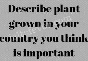Describe A Flower In Your Country Cue Card Describe Plant Grown In Your Country You Think is Important