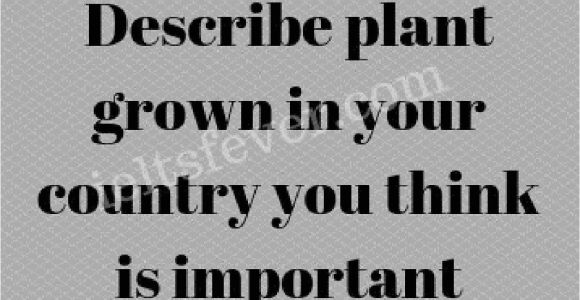 Describe A Flower In Your Country Cue Card Describe Plant Grown In Your Country You Think is Important
