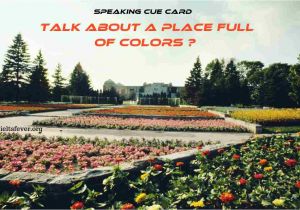 Describe Rose Flower Cue Card Talk About A Place Full Of Colors Ielts Fever Exam