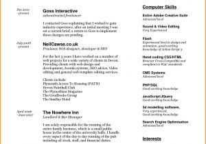 Describe Your Computer Skills Resume Sample Describe Your Computer Skills Resume Sample 6 Describe
