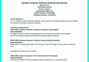 Describe Your Computer Skills Resume Sample Describe Your Computer Skills Resume Sample Describe Your