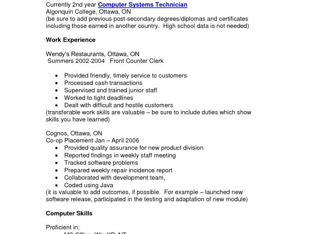 Describe Your Computer Skills Resume Sample List Of Computer Skills On ...