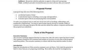 Detailed Proposal Template Informal Proposal Letter Example Writing A Project