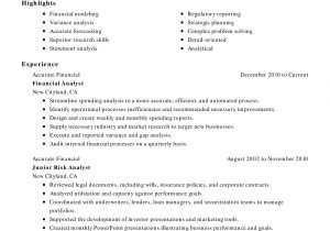 Detailed Resume format Word Accounting and Finance Resume Template for Microsoft Word