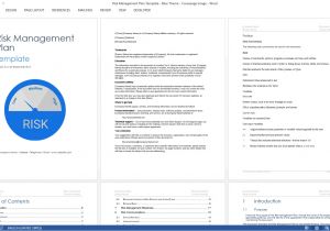 Developer Documentation Template Risk Management Plan Template