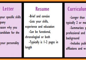 Difference Between Job Application and Resume 10 Difference Between Cover Letter and Resume Dragon