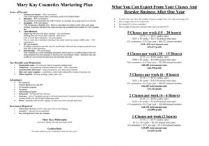 Direct Sales Business Plan Template Free Sales Business Plan Template Ppt 13 Plans Puter Support