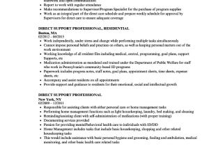 Direct Support Professional Resume Template Direct Support Professional Resume Resume Ideas