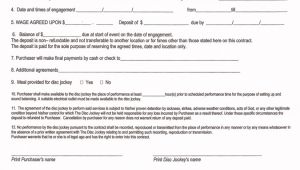Disc Jockey Contract Template Printable Blank Contract form for Disc Jockey with 12