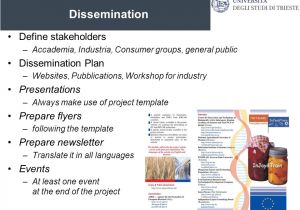 Dissemination Plan Template Tim R L Fry School Of Economics Finance Marketing