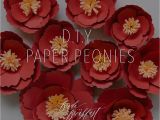 Diy Chinese New Year Card D I Y Paper Peonies Paper Peonies Chinese New Year