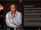Dj Biography Template Rappers Here is why It is Important to Have An Electronic
