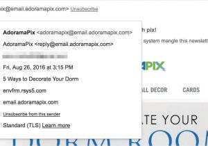 Do Not Reply to This Email Template Say No to No Reply Email Addresses Litmus software Inc