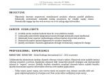 Doc Resume Templates Resume Templates Word Doc All About Letter Examples