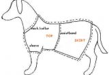 Dog Coat Template Free Dog Clothes Pattern Doggie Dress
