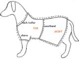 Dog Coat Template Free Dog Clothes Pattern Doggie Dress
