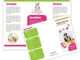 Dog Grooming Flyers Template 99 Best Images About Groomers Advertising Templates