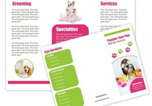 Dog Grooming Flyers Template 99 Best Images About Groomers Advertising Templates