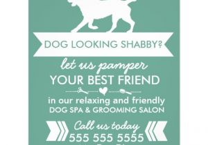 Dog Grooming Flyers Template Dog Grooming Flyer Personalizable Zazzle