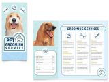 Dog Grooming Flyers Template Pet Grooming Service Brochure Template Design
