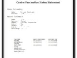 Dog Vaccination Certificate Template Certificate Of Vaccination Template for Dogs