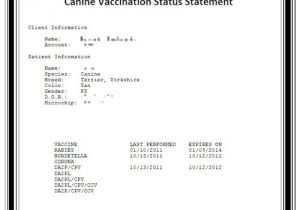 Dog Vaccination Certificate Template Certificate Of Vaccination Template for Dogs