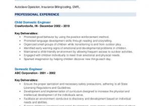 Domestic Engineer Resume Domestic Engineer Resume Samples Qwikresume