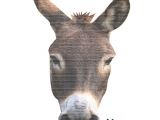 Donkey Face Mask Template 6 Best Images Of Printable Donkey Mask Donkey Face Mask