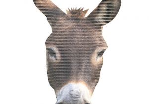 Donkey Face Mask Template 6 Best Images Of Printable Donkey Mask Donkey Face Mask