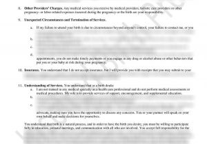 Doula Contract Template Savvy Doula Business forms