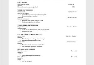 Download format Of Resume for Fresher In Ms Word top 10 Fresher Resume format In Ms Word Free Download
