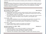 Download Free Professional Resume Templates Free Professional Resume Templates Download Resume Downloads