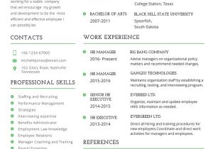 Download Free Professional Resume Templates Professional Resume Template 60 Free Samples Examples
